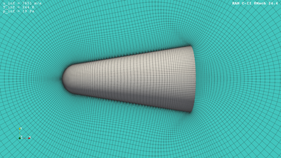 Mesh generated for the capsule